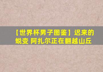 【世界杯男子图鉴】迟来的蜕变 阿扎尔正在翻越山丘